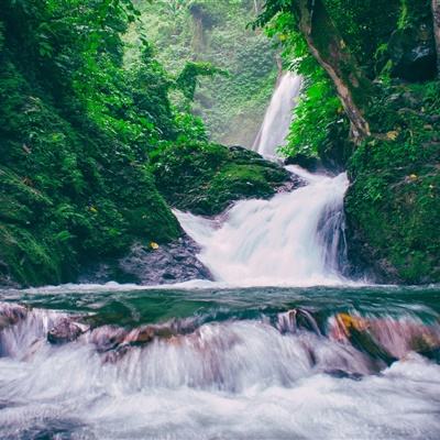 雀魂majsoul安卓版下载