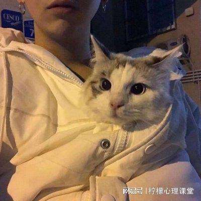 浪剑说手游官方下载