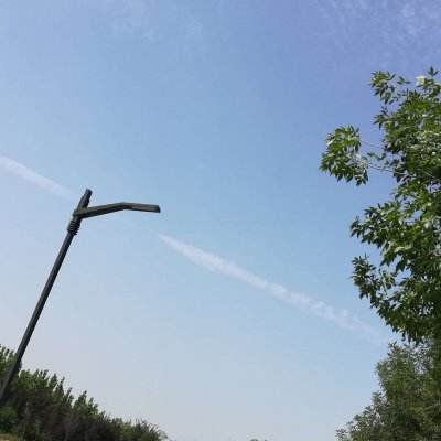 牧羊人之心bt变态版下载